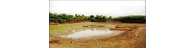 தொண்டைமான் நல்லூர்